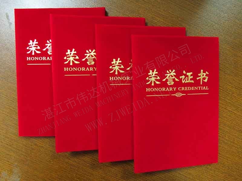 新闻-坡头区创新发展大会召开,我司坚持科技创新,取得累累硕果